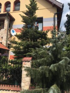 zanik sygnału przez drzewo